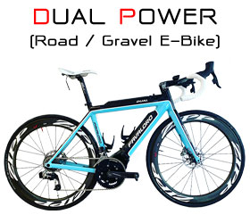 Dual Power E-Bike