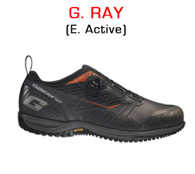 G. Ray E. Active