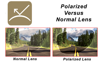 Albabici Cycling Products -  Polarized LIMAR lens